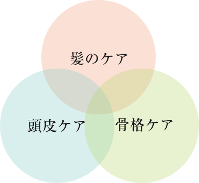 髪のケア/頭皮ケア/骨格ケア